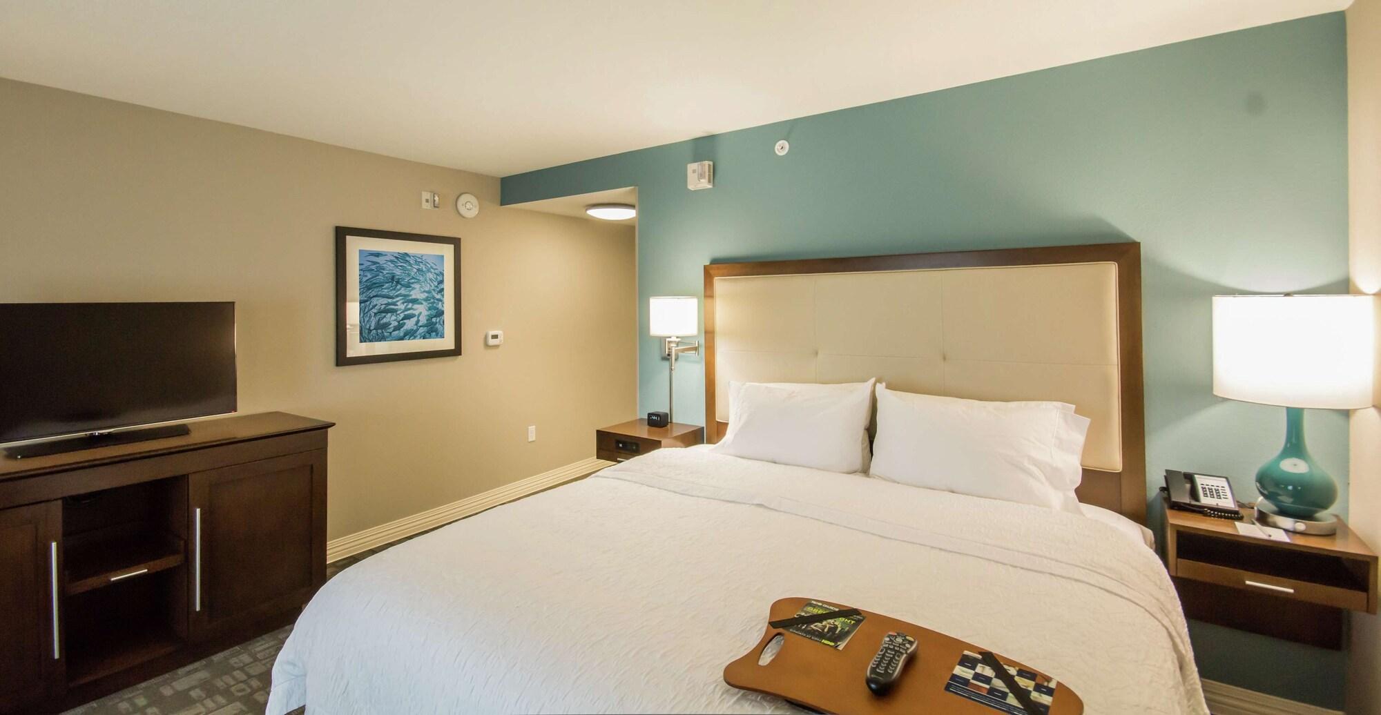 Hampton Inn & Suites Orlando Near Seaworld Williamsburg Exteriér fotografie